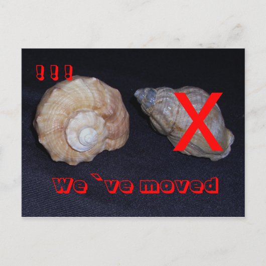 sinsinsing umgezogen postkarte 案内ポストカード (正面)