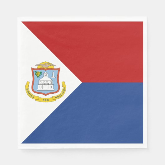 Sint Maarten Flag スタンダードランチョンナプキン (正面)