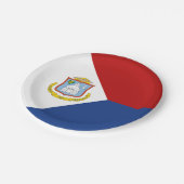 Sint Maarten Flag ペーパープレート (アングル)