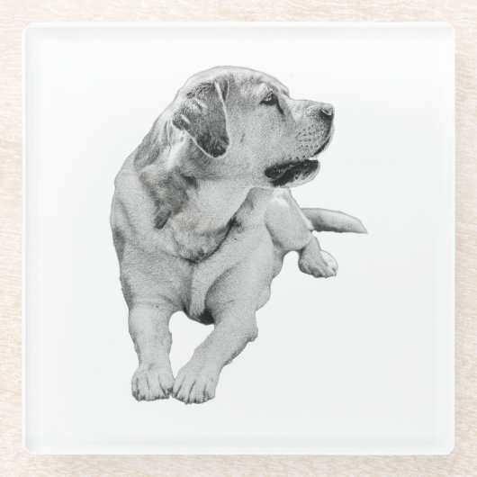 Sip Break, Steady Friend ガラスコースター (正面)