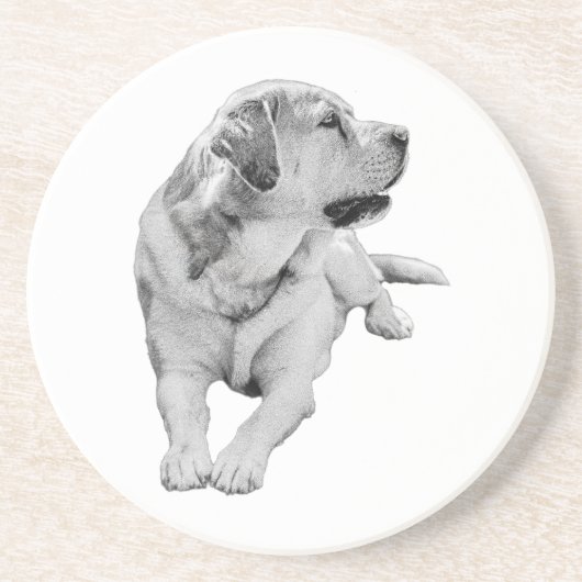 Sip Break, Steady Friend コースター (正面)