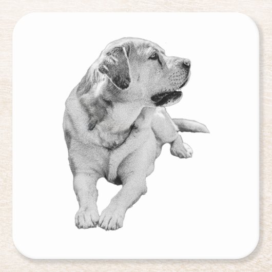 Sip Break, Steady Friend スクエアペーパーコースター (正面)