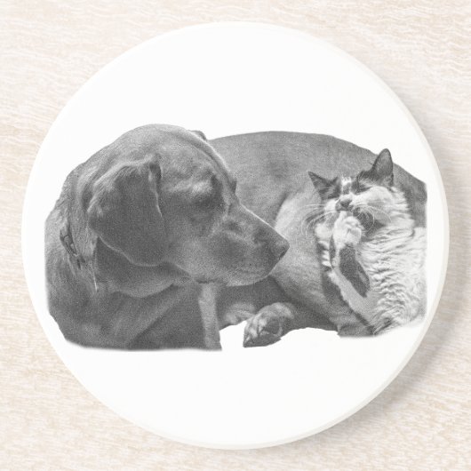 Sip Break with Pals コースター (正面)