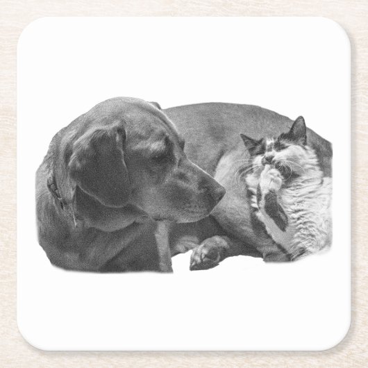 Sip Break with Pals スクエアペーパーコースター (正面)