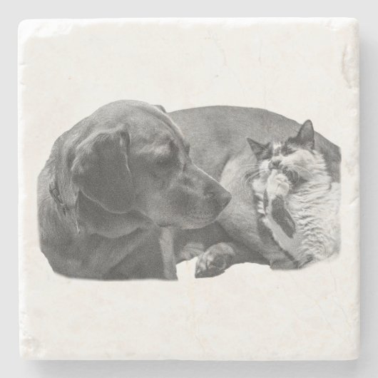 Sip Break with Pals ストーンコースター (正面)