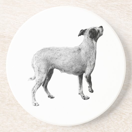 Sip Pause—Looking Up コースター (正面)