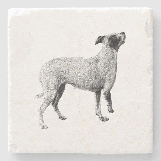 Sip Pause—Looking Up ストーンコースター (正面)