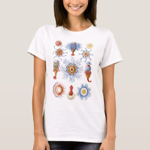 Siphonophorae Tシャツ