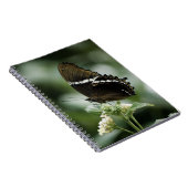 Siproetaノートブック ノートブック (右側)