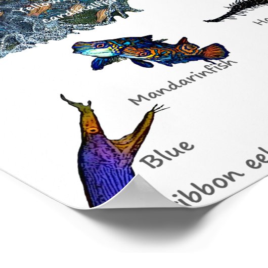 Siquijor Underwater World ポスター (角)