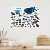 Siquijor Underwater World ポスター (キッチン)