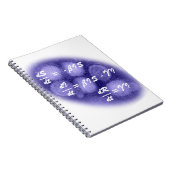 SIR疫学 ノートブック (右側)