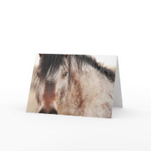 Sir Behrカー空白のド