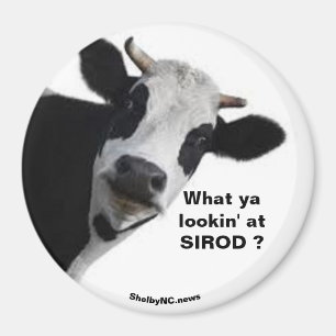 SIROD何を見てるの?おもしろい磁石 マグネット
