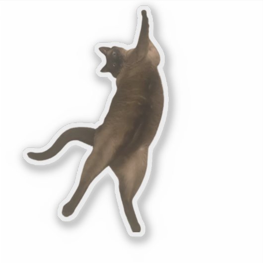 SirPercyPaws - Pose おもしろい Cat Sticker シール (正面)