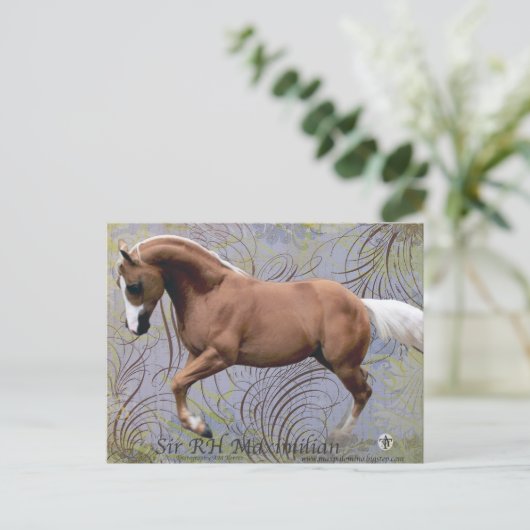 SirRHMaximilian2 ポストカード (スタンド正面)