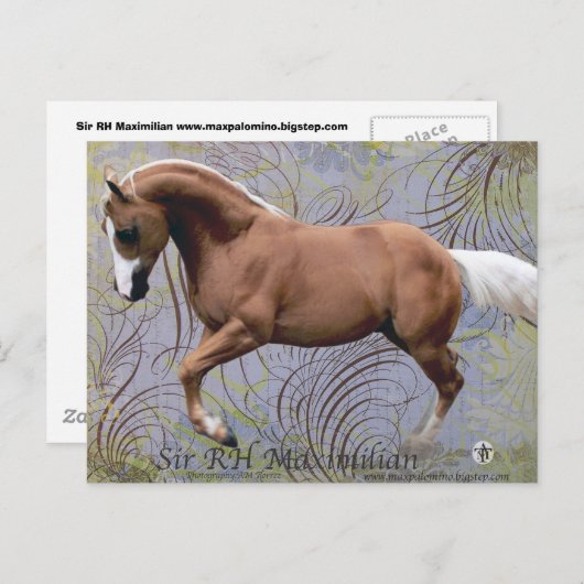 SirRHMaximilian2 ポストカード (正面/裏面)