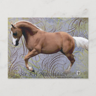 SirRHMaximilian2 ポストカード