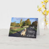 **SIS**休憩して「ハッピーバースデー」と言う カード (黄色い花)