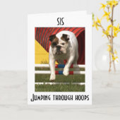 *SIS* JUMPING THRUバスケWISH Uハッピーバースデー カード (黄色い花)