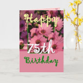 SISTER - 75番目の誕生日、ピンクのデイジーの花 カード (黄色い花)