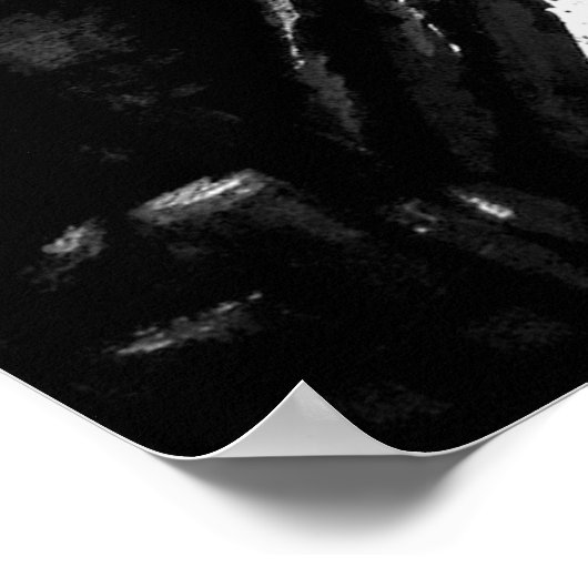 SIT "亀" ポスター (角)