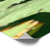 Sit and Be《植物》スイレン ポスター (角)