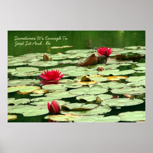 Sit and Be《植物》スイレン ポスター (正面)