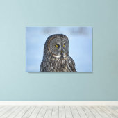 Siting 素晴らし Gray Owl WildlifeフォトポートレートII キャンバスプリント (インサイチュ (ウッドフロア))