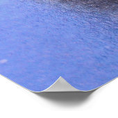 Sitting Baboon ポスター (角)