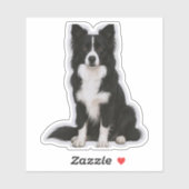 Sitting Border Collie シール (シート)