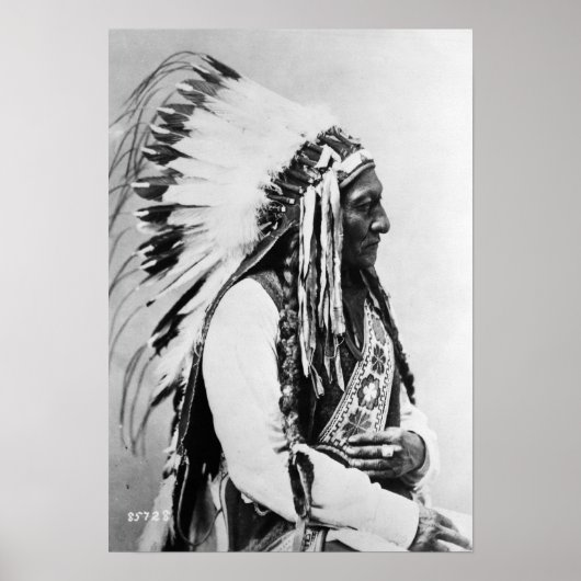 Sitting Bull, a Hunkpapa Sioux ポスター (正面)