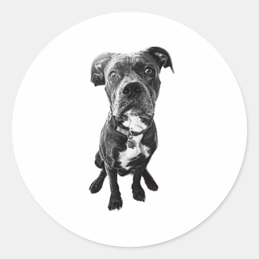 Sitting Dog Sticker – Realistic Black & White Pose ラウンドシール (正面)