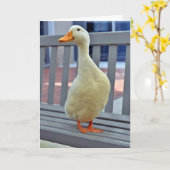 「SITTING DUCK」と言うと、***恋しく思' YOU*** BOO HOO カード (黄色い花)