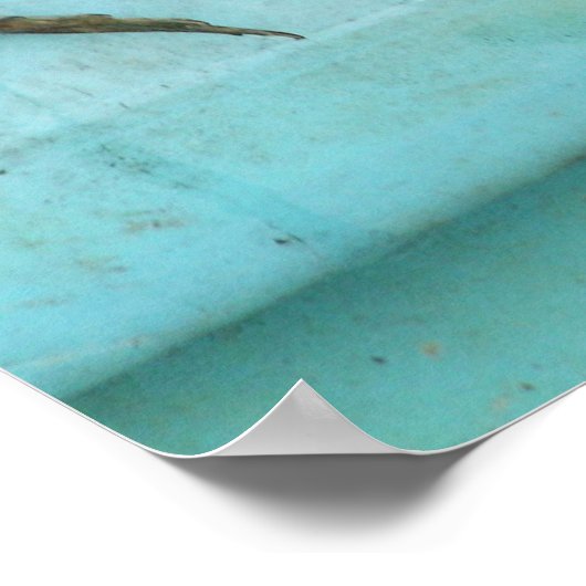 Sitting Frogs ポスター (角)