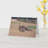 「Sitting Ostrich」サンキューカード カード (黄色い花)