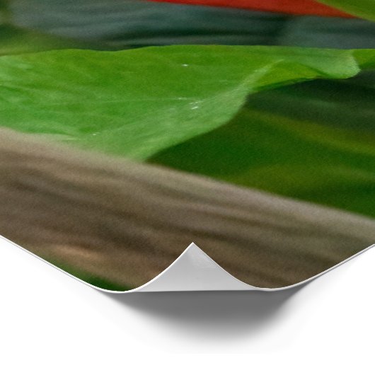 Sitting Still ポスター (角)