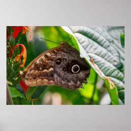 Sitting Still ポスター