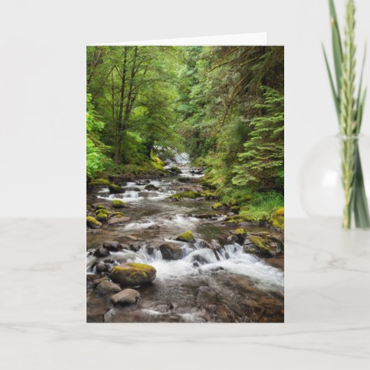 Siuslaw National Forest | スイートクリーク カード (正面)