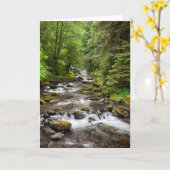 Siuslaw National Forest | スイートクリーク カード (黄色い花)