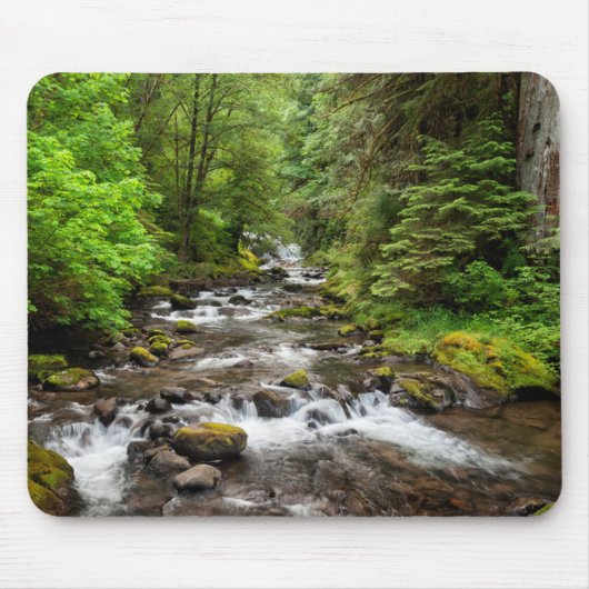 Siuslaw National Forest | スイートクリーク マウスパッド (正面)