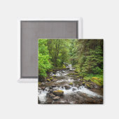 Siuslaw National Forest | スイートクリーク マグネット (正面/裏面)