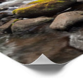 Siuslaw National Forest | Sweet Creek ポスター (角)