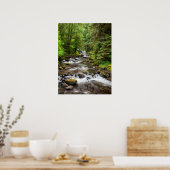 Siuslaw National Forest | Sweet Creek ポスター (キッチン)