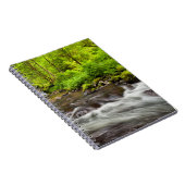 Siuslaw National Forest, Sweet Creek, Oregon ノートブック (右側)