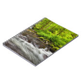 Siuslaw National Forest, Sweet Creek, Oregon ノートブック (左側)