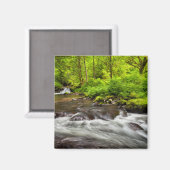 Siuslaw National Forest, Sweet Creek, Oregon マグネット (正面/裏面)