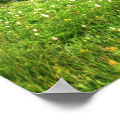 Siverstar Hdr ポスター (角)