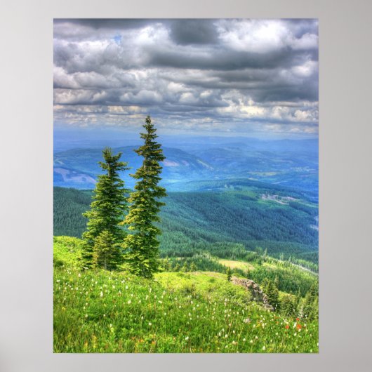 Siverstar Hdr ポスター (正面)