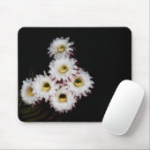sixpence the richer サボテンの花 マウスパッド (マウス)